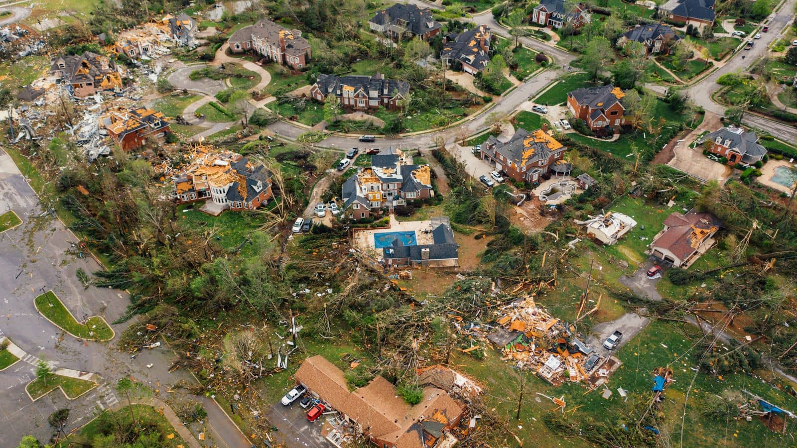Public Adjusters